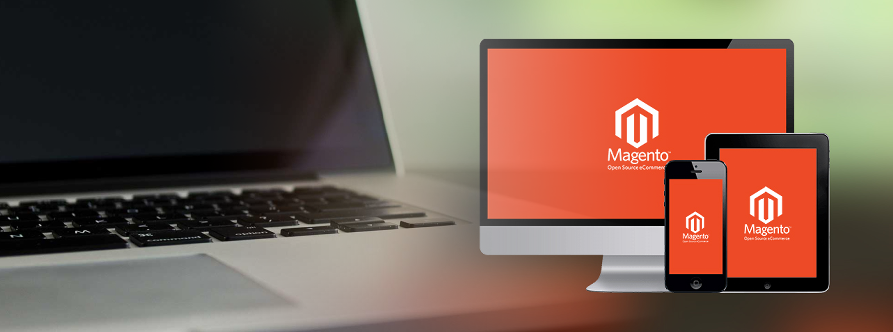 magento-web-development